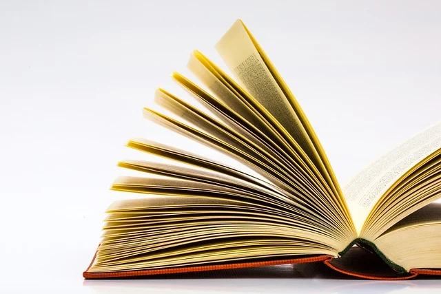 An open book with many pages fanned out, suggesting study or learning.