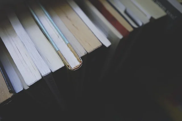 Log rules: A row of books with their pages visible, suggesting study or knowledge.