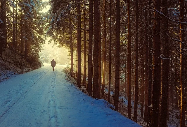 A person walking on a snowy path through a forest at sunrise.